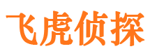 乐山飞虎私家侦探公司